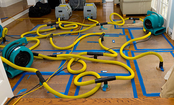 Professional Sewage Cleanup technician working in Westport, KY
